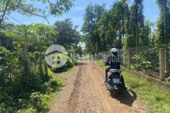 Bán 2 lô liền kề đất xã ea bhôk huyện cưkuin giá chỉ 430 triệu