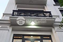 Bán nhà riêng trường trinh, vương thừa vũ, tô vĩnh diện, thanh xuân 40m2 4,6tỷ