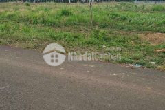 Vợ chồng ly dị cần bán gấp miếng đất ở tân lợi bình phước rẻ mục alo 0366826597