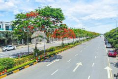 Cơ hội 1 0 2 mua và làm việc trực tiếp với chủ đầu tư hàng f0