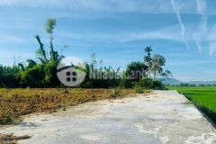 Block 8 lô the rose điện hồng tx điện bàn gần chợ lạc thành giá rẻ cho nhà đầu tư