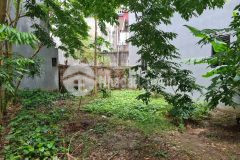 Chính chủ gửi bán đất đẹp, giá đầu tư, thanh am, thượng thanh, long biên. 53m2, giá 2.65 tỷ.