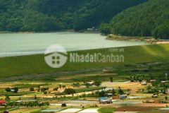 Chính chủ cần bán 431m28x 53m. bao lên 50m thổ cư. tại quảng lạc. dran. đơn dương. giá 1.1 tỷ