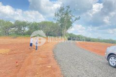 Chủ kẹt tiền gửi em bán lô đất ngay tân hưng thu hồi vốn lại giá 590 triệu 2050 sổ sẵn