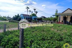 Bán đất triệu phước, triệu phong