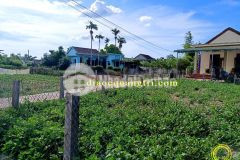 Bán 2 lô giá rẻ tại triệu phước, triệu phong