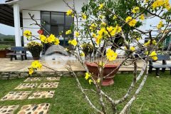 Cần bán trang trại familyfarm diên đồng diên khánh khánh hoà