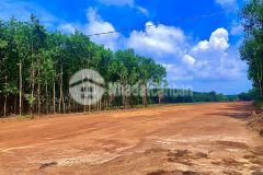 Đất đẹp mặt tiền bê tông 5m 250m2 100m thổ cư bình phước 550tr250m2