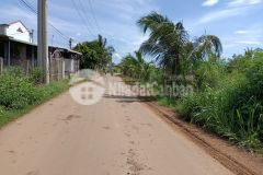 Cân tiên ban gâp 1 sao 2 đât đen nơ hâu