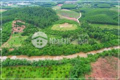 Chính chủ cần bán 1 sào khánh trung giá 390tr.