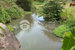 View suối chảy quanh năm. đất đá bạc. đường nhà nước.bvrt