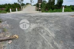 7,3hecta vườn 2 mặt tiền đường ấp 2,thạnh tân,tân phước,tiền giang