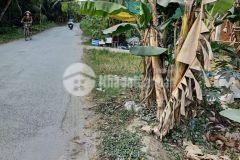 8x22m mặt tiền huyện lộ 36,bình trưng,châu thành,tiền giang