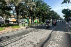 Bán đất đường 9a, khu trung sơn, bình chánh, gần vòng xoay, 5x20m, hướng tây, 24 tỷ