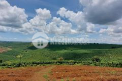 Chính chủ cần bán đất mặt tiền lớn xã lộc quảng 140m2 sổ hồng riêng liên hệ ngay 0908 255 205