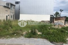 Kqh hương sơ tản đà kv4 thích hợp kinh doanh