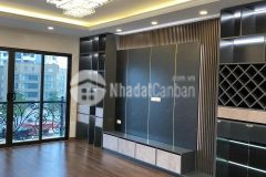 Siêu phẩm, bồ đề, hồng tiến, 74m2, 7 tầng, thang máy, gara ô tô