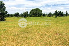 Chính chủ cần bán lô đất vuông vưc ngay ql1a xã sông luỹ đã có sổ