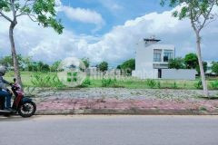 Chủ kẹt tiền cần bán nhanh trong tuần mặt tiền văn tiến dũng, 290m2, giá thấp hơn thị trường 300tr