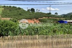 Bán đất mộc châu nằm ở trung tâm chiền sơn view đồi chè giá hợp lý