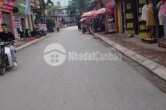 Duy nhất lô đất cửu việt, trâu quỳ, gia lâm xe 7 chỗ thông diện tích 65m2 mặt tiền hậu 4.4m