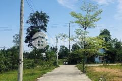 Chủ ngộp bank bán gấp lô đất kiệt nguyễn trọng thuật, p. thủy lương, hương thủy