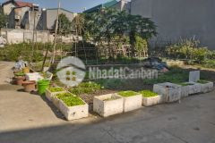 Chủ đất cần tiền muốn bán nhanh lô đất ô tô vào được ở phố ngô xuân quảng 2,52 tỷ.