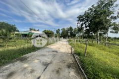 Đất bds tân hà hàm tân thổ cư 1,14 triệum giá tốt tiềm năng sinh lời cao