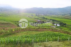 Bán gấp lô đất dt hơn 1000m2 full thô cư, sở hữu view triệu đô