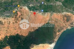 Lô đất ven bình thuận giá cực rẻ chỉ 170k mà diện tích lại lớn, đầu tư sinh lời rất tốt