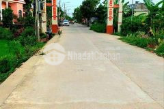 Lô góc giáo ái nam điện hồng tx điện bàn. 312m2 giá 7xxtr. ngay gần chợ lạc thành