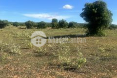 Sở hữu ngay 3sào8 đất cln tại phan rí thành