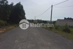 Cần tiền nên chủ bán rẻ lô đấtái tửtriệu phong0367907267