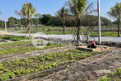 Duy nhất 1100m2 đất vườn thành phố tây ninh, view núi bà đen