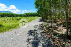 Bán đất diên xuân diên khánh rộng rãi lập vườn