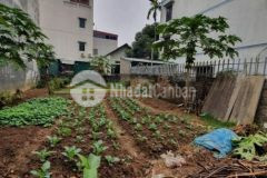 Cực hiếm. bán đất xuân đỉnh.ô tô tránh, kinh doanh.dt 35m2, mt 4m. giá nhỉnh 4 tỷ.