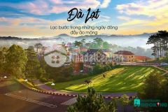 Bán lô đất đèo mimosa đà lạt, giá 3,3 tỷ. lh 0932775192