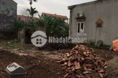 Cần ra gấp lô đất kdc đường thanh niên, bc. đất sạch, giá tốt.