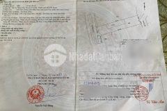 Đất thổ vườn 467m2 100m2 thổ mặt tiền đường nhựa 10m 1ty2 củ chi shr có tl