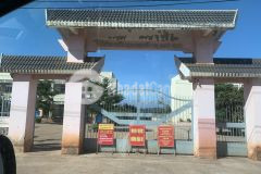 Lô đất 2ha1 trồng full sầu riêng và bơ gần trường học tiểu học nguyễn thị minh khai tại đaklak