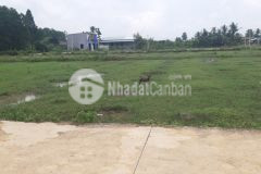 Bán 2 lô đất 177m2 full thổ cư gần kcn phước đông giá 750tr