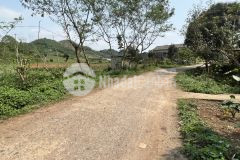 Cần bán 1976m, có 200m đất ở tại tây phong, cao phong, hòa bình