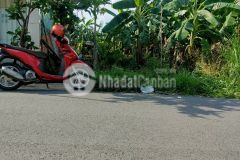 Gia đình xuất ngoại định cư cần bán lại lô đất ở tân định bến cát bình dương.