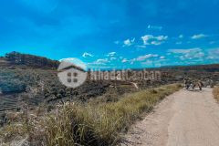 Ban 3 lô đât xuân trương view đep đa lat thích hợp đầu tư sinh lời