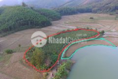 Siêu phẩm bám hồ lên đến 60m có dt 2431m2 phù hợp làm homestay nghỉ dưỡng