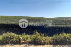 Mộc châu bán đất nằm ở nút giao kết nối rất phù hợp kinh doanh du lịch