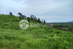 Đất bds tân nghĩa hàm tân view đồi đẹp giá tốt gần ql 1a trung tâm 1,6 mẫu 8,6 tỷ