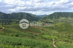 Mộc châu bán đất gần ql6 di chuyển thuận tiện