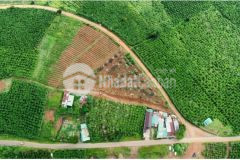 Cần bán gấp lô đất chính chủ tại xã lộc quảng, lâm đồng có sổ hồng riêng chỉ 1 tỷ lh 0933518508