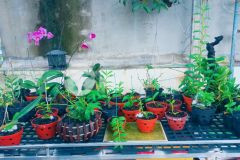 Chủ ngộp bank cần bán hxh tận nhà dân trí cao nhà giá rẻ ở ngay